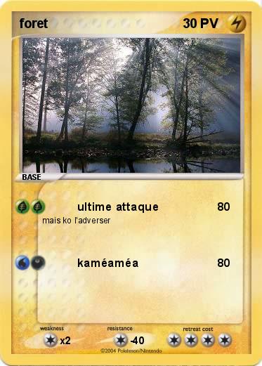 Pokemon foret 
