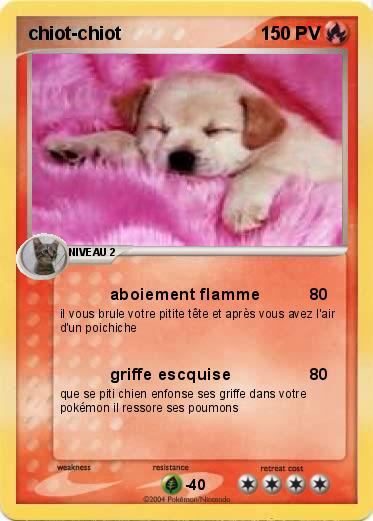 Pokemon chiot-chiot