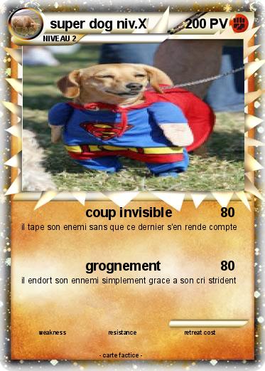 Pokemon super dog niv.X
