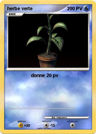 Pokemon herbe verte