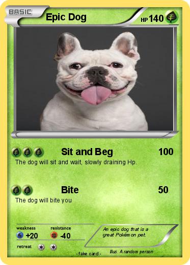 Pokemon Epic Dog