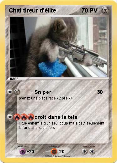 Pokemon Chat tireur d'élite