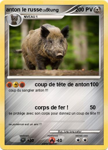 Pokemon anton le russe