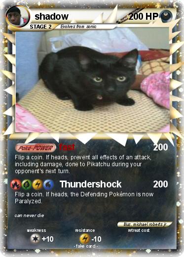 Pokemon shadow