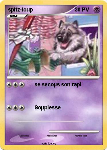 Pokemon spitz-loup