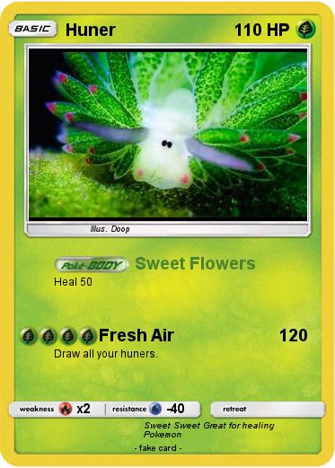 Pokemon Huner