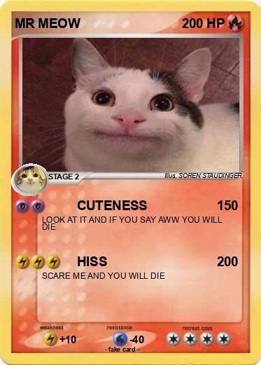 Pokemon MR MEOW
