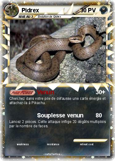 Pokemon Pidrex