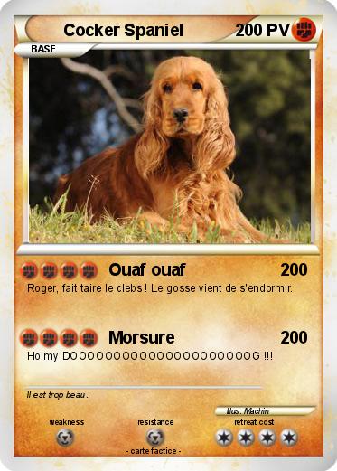 Pokemon Cocker Spaniel