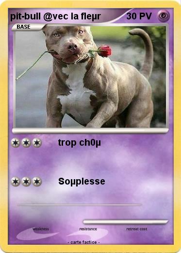 Pokemon pit-bull @vec la fleµr