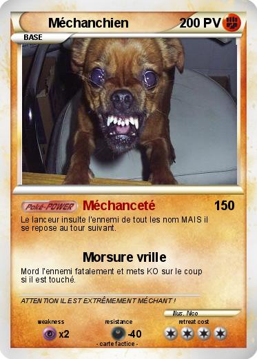Pokemon Méchanchien