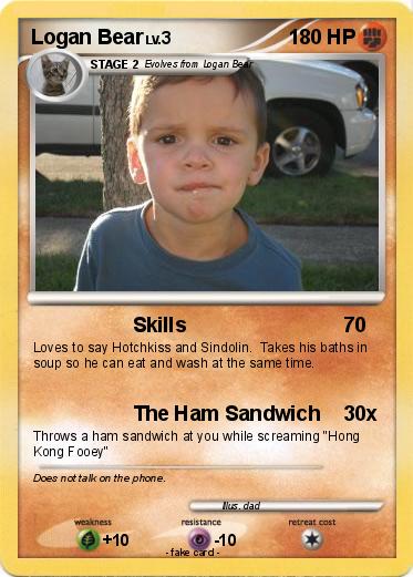 Pokemon Logan Bear