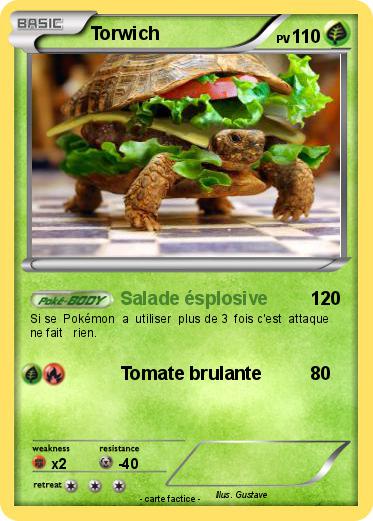 Pokemon Torwich