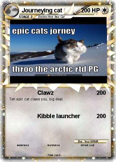 Pokemon Journeying cat