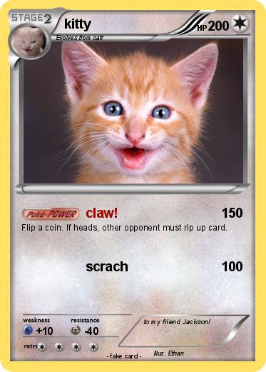 Pokemon kitty