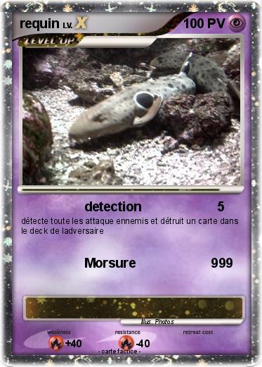 Pokemon requin