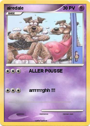 Pokemon airedale