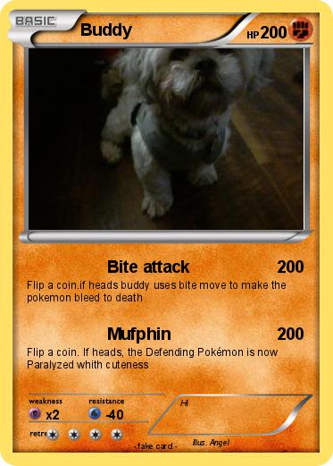 Pokemon Buddy