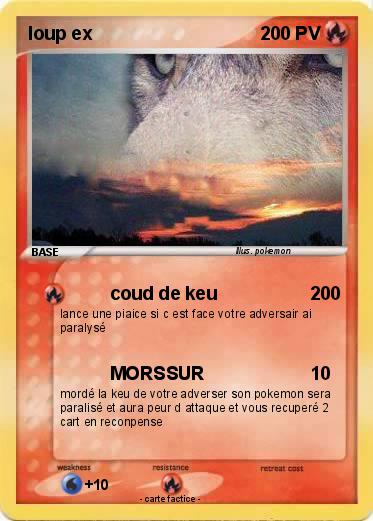 Pokemon loup ex
