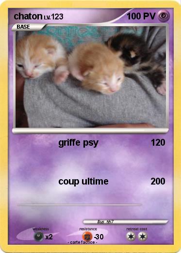 Pokemon chaton