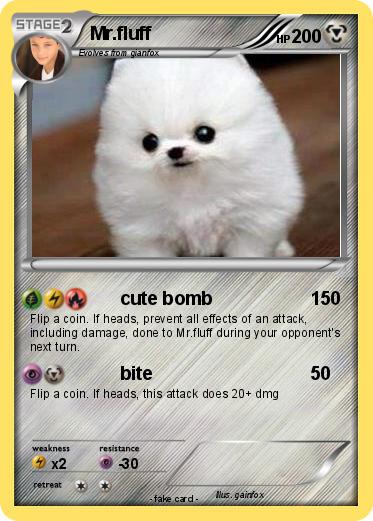 Pokemon Mr.fluff