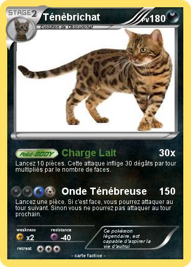 Pokemon Ténèbrichat