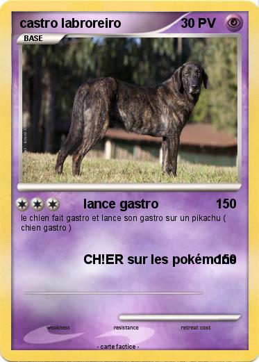 Pokemon castro labroreiro