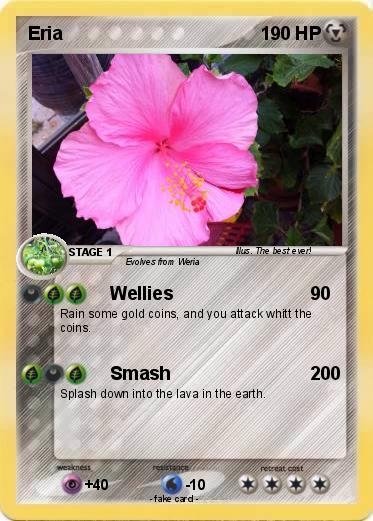 Pokemon Eria