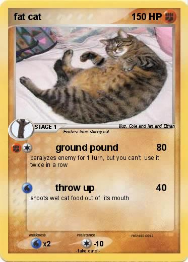 Pokemon fat cat