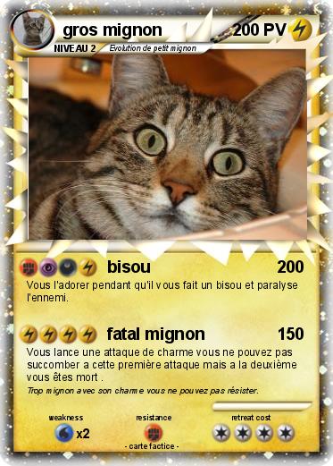 Pokemon gros mignon