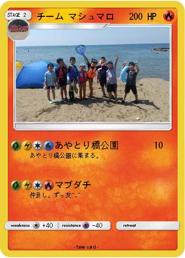 Pokemon チーム マシュマロ