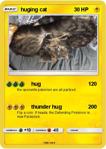 Pokemon huging cat