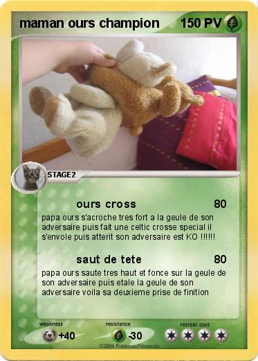 Pokemon maman ours champion
