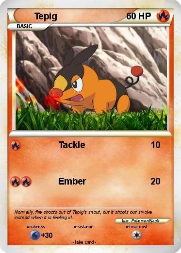 Pokemon Tepig