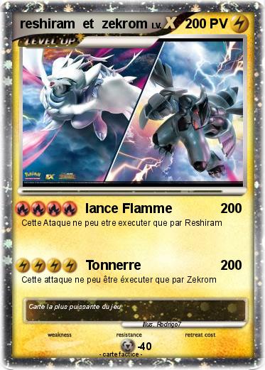 Pokemon reshiram  et  zekrom