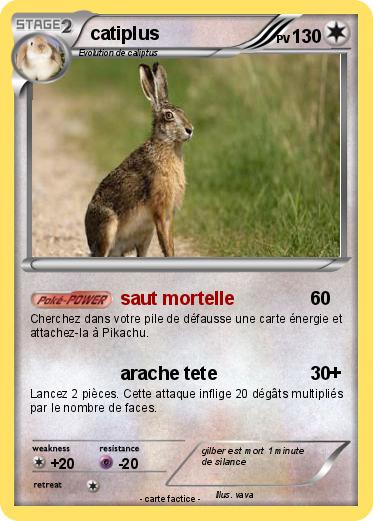 Pokemon catiplus