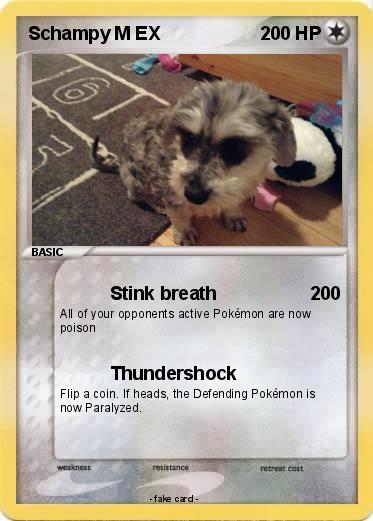Pokemon Schampy M EX