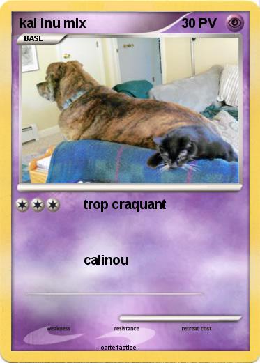 Pokemon kai inu mix