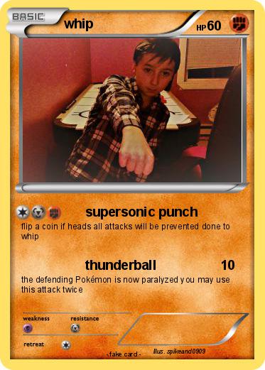 Pokemon whip