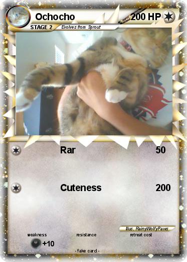 Pokemon Ochocho