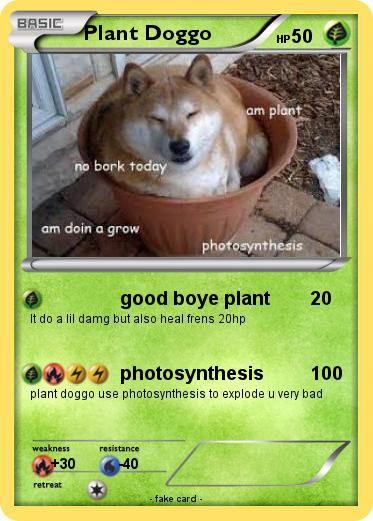 Pokemon Plant Doggo