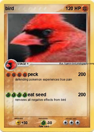 Pokemon bird