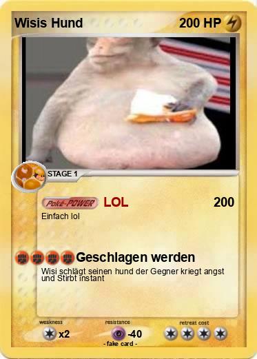 Pokemon Wisis Hund