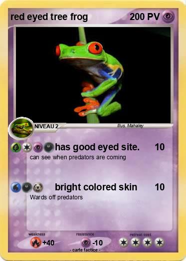Pokemon red eyed tree frog