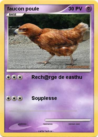 Pokemon faucon poule