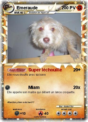 Pokemon Emeraude