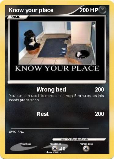 Pokemon Know your place