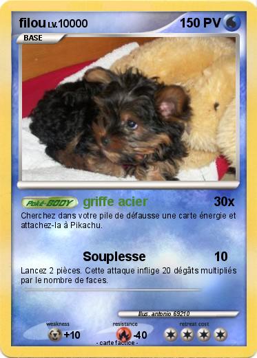 Pokemon filou