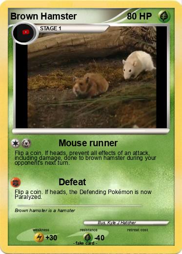 Pokemon Brown Hamster