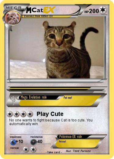 Pokemon Cat